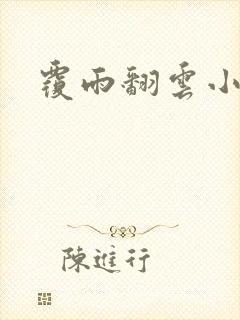 覆雨翻云小说