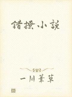 错撩小说