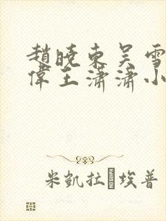 赵晓东吴雪晴郑伟王潇潇小说名字