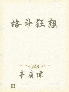格斗狂想封面
