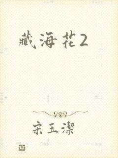 藏海花2封面
