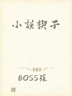 小说楔子封面