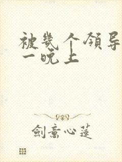 被几个领导玩弄一晚上封面