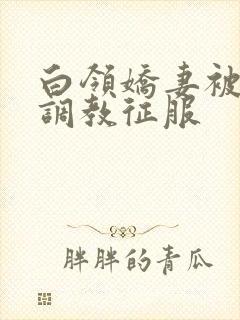 白领娇妻被老板调教征服封面