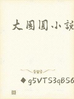 大团圆小说