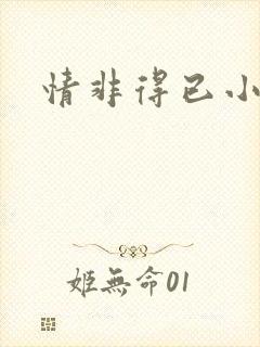 情非得已小说