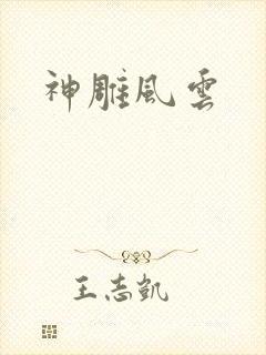 神雕风云封面