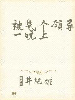 被几个领导玩弄一晚上