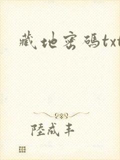 藏地密码txt