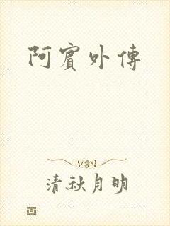 阿宾外传