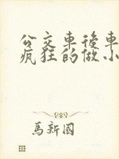 公交车后车座的疯狂的做小