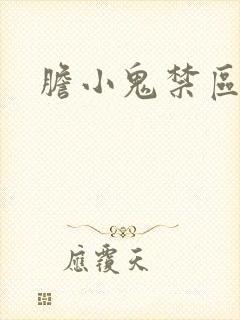 胆小鬼禁区封面