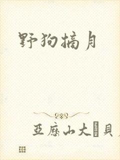 野狗摘月封面