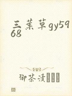 三叶草gy5968