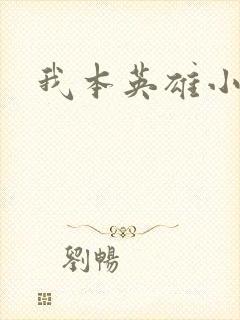 我本英雄小说