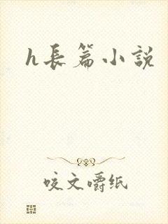 h长篇小说