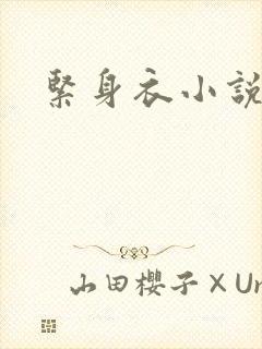 紧身衣小说