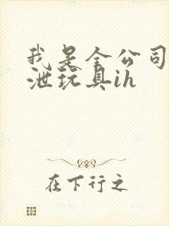 我是全公司的发泄玩具ih