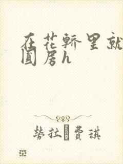 在花轿里就开始圆房h封面