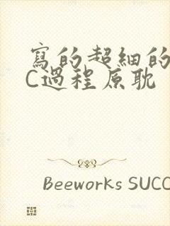 写的超细的多肉C过程原耽