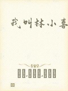 我叫林小喜17