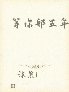 等你那五年