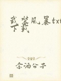 武装风暴txt下载