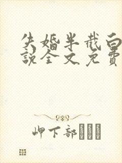 失婚半截白菜小说全文免费阅读封面