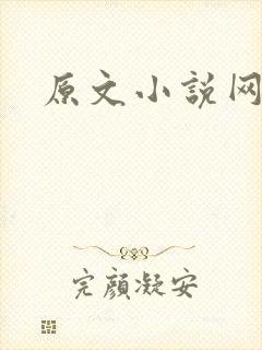 原文小说网封面
