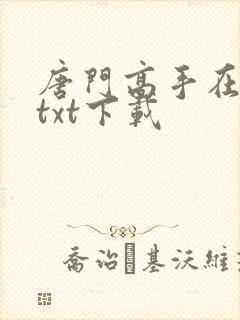 唐门高手在异世txt下载
