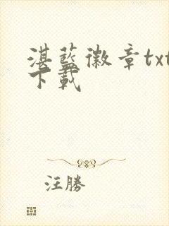 湛蓝徽章txt下载封面