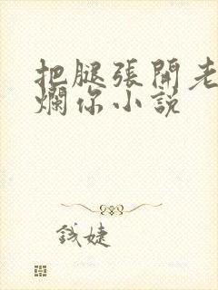 把腿张开老子臊烂你小说