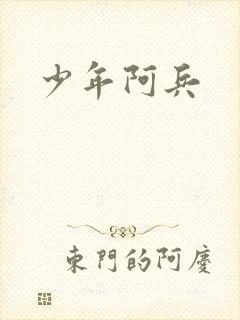 少年阿兵封面