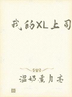 我的XL上司