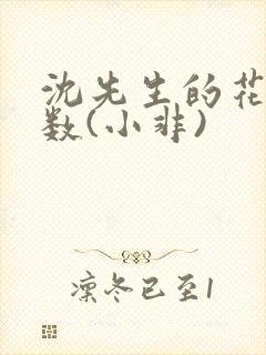 沈先生的花式调数(小非)