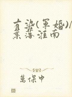 有染(军婚)/叶落淮南