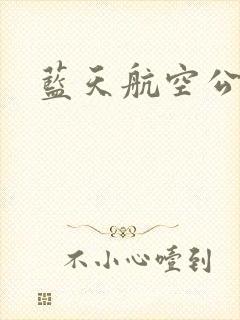 蓝天航空公司封面