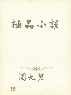 极品小说