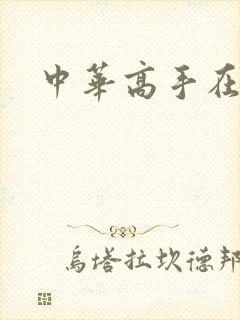 中华高手在异世