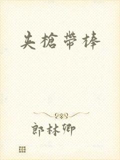 夹枪带棒封面