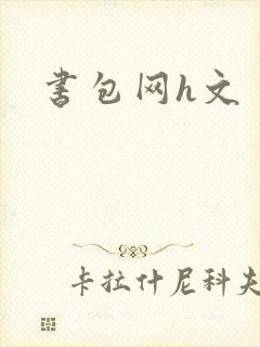 书包网h文