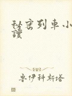 秘密列车小说阅读