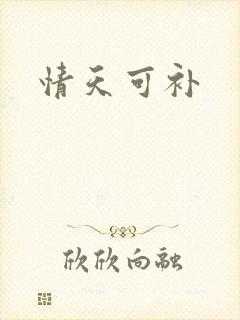 情天可补
