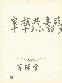 家族共妻苏苏(十千)小说免费