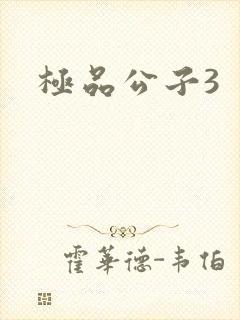 极品公子3