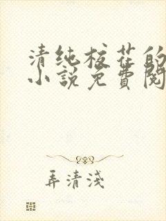 清纯校花的秘密小说免费阅读封面