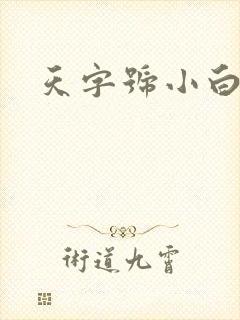 天字号小白脸封面