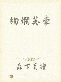 绚烂英豪