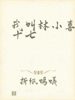 我叫林小喜今年十七