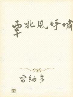 西北风呼啸的中午封面